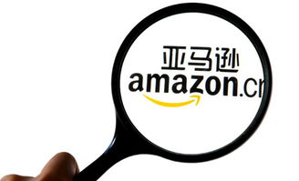 各有各的招 亞馬遜和京東哪個電商更 閃電